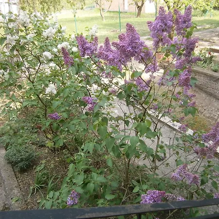 Apartment Zanka-balaton *
